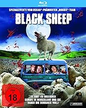 Black Sheep